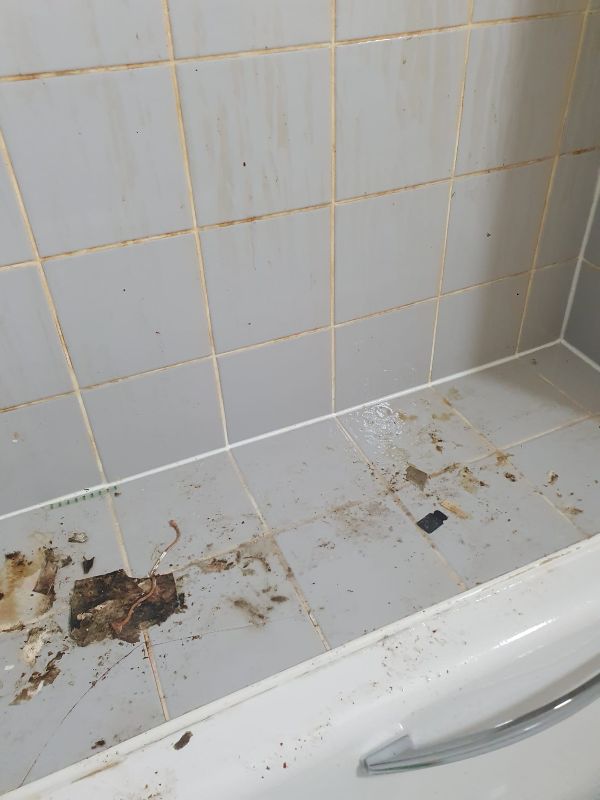 Cleaning result 1 — before